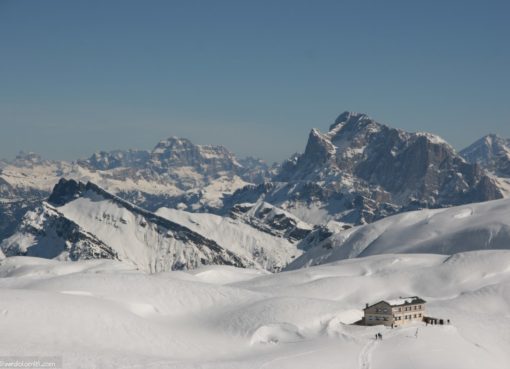 Riguio Rosetta invernale