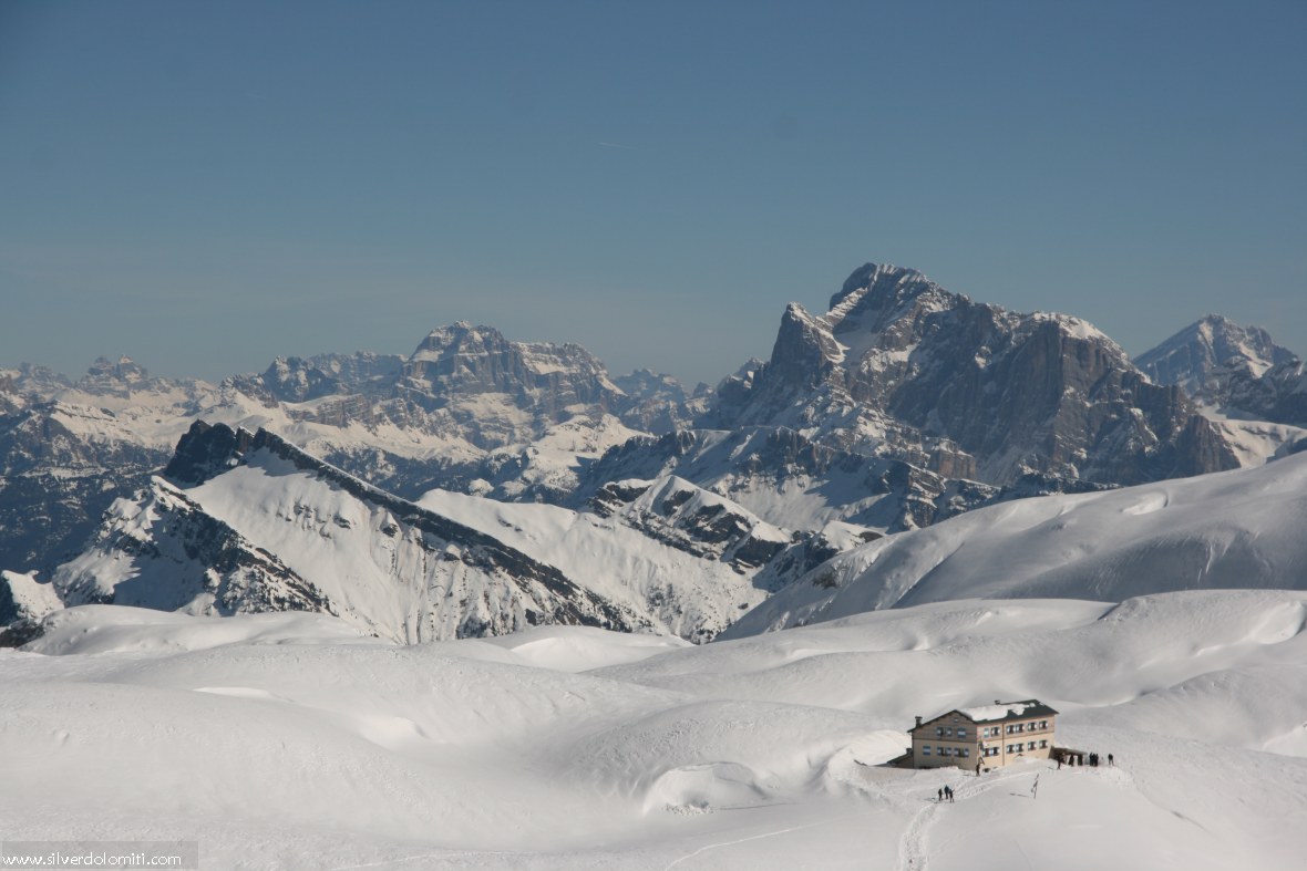 Riguio Rosetta invernale