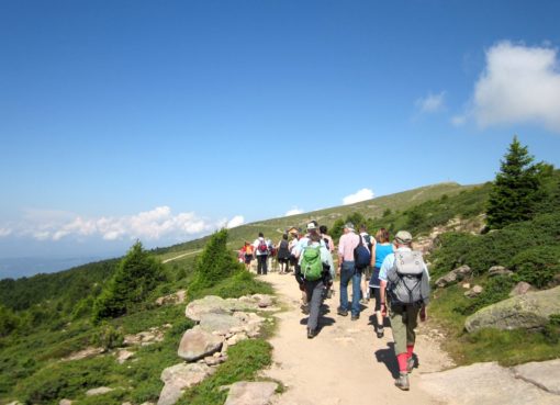 sentiero alpe resciesa