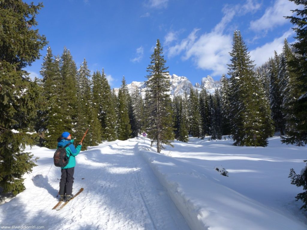 Strada forestale