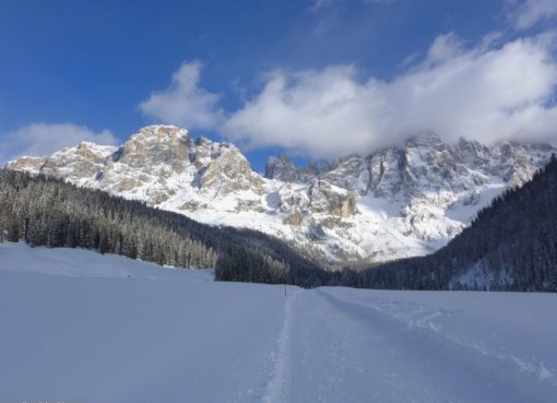 val venegia