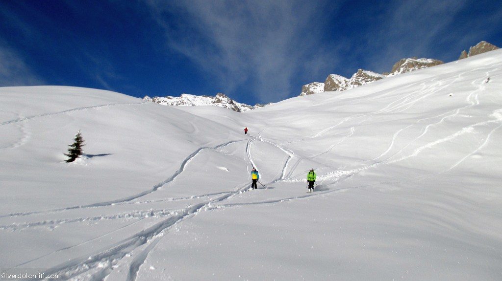 freeride a Passo San Pellegrino, adatto anche agli anziani.